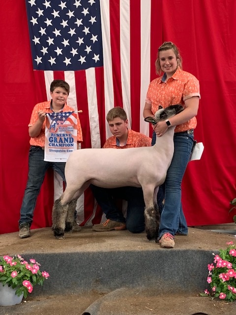 City Limits Winners